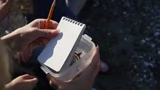 Geocaching in the MABR: Short 1