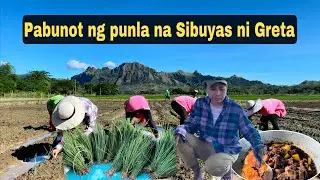 Magsibuyas ulit tayo mga ka dragon | hot sopas for meryenda | Buhay Probinsya | Mindoro