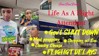 LIFE AS A FLIGHT ATTENDANT~GOV''T SHUTDOWN~SHOPPING W/ BAE~FLIGHT DELAYS~CHUCKY CHEESE~MEAL PREPPING
