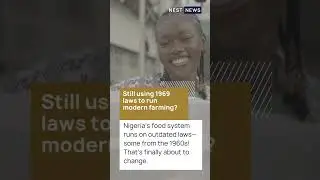 Nigeria&rsquo;s agriculture sector has evolved&mdash;but the laws haven&rsquo;t.
