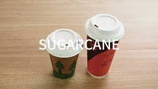 ow to Choose the Best Compostable Bagasse Sugarcane Coffee Paper Cup Lid