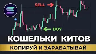 Ищем КОШЕЛЬКИ ИНСАЙДЕРОВ и копируем сделки / Копитрейдинг на Солане (Solana) через GMGN
