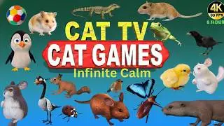 CAT GAMES COMPILATION 🐾 Fish, Rat, Lizard, Duck, Birds & Insects | Ultimate CAT TV 8 HOURS 4K60FPS