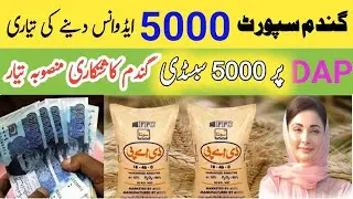 'complete Guide 5000 Subsidy &5000 Advance in Wheat Support 2025 | DAP Scheme Explained'
