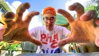 iPhone 11 Camera Test & Vlog