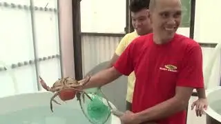 The Introductory of SEAFDEC