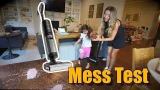 Best Entry Level Wet & Dry Vacuum: Family Tested!