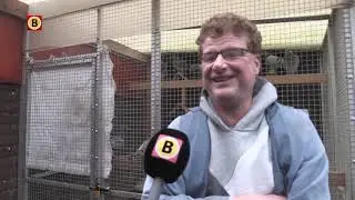 Chinezen veroveren de duivensport