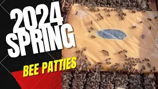 Spring Patties For Honey Bees... Recipe your bees would love&hellip;