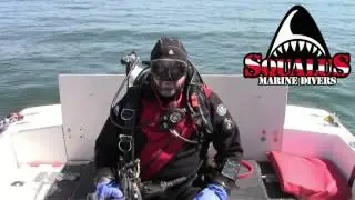 Squalus Marine Divers Greeting