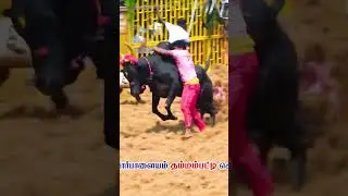 #ranjith #whatsapp #jallikattu_images #ranjithnews #viralshort #viral_video ...,🤟😈🔥😈
