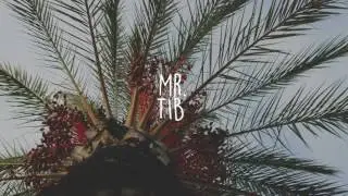 M&Ouml;WE - Around The World (feat. LISA PAC)