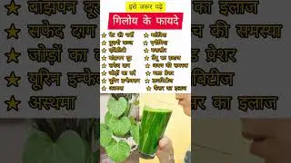 giloy ke fayde #trending #trendingshorts #giloy #healthtips #healthguru