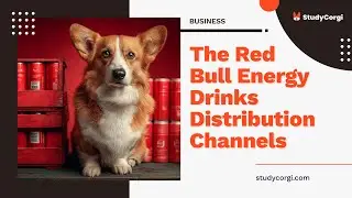 The Red Bull Energy Drinks Distribution Channels - Essay Example