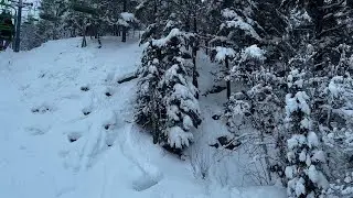 Best Tree Glade Riding In The Midwest