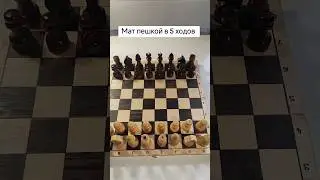 Отважная пешка ставит мат в 5 ходов!! #шахматы #chess