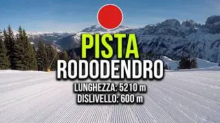Pista Rododendro, Pinzolo (Tn)