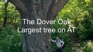 Trek to Dover Plains