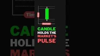 How to read candlestick price movement crypto trading #candlesticks #tradingbasics