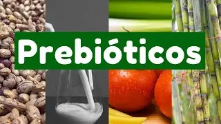 🥣🥩 &iquest;QU&Eacute; SON LOS PREBI&Oacute;TICOS ?  Alimentos prebi&oacute;ticos [ 𝐄𝐧 𝟑 𝐌𝐈𝐍𝐔𝐓𝐎𝐒 𝐨 𝐦𝐞𝐧𝐨𝐬 ]
