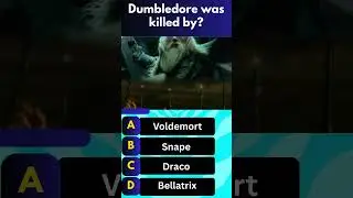Ultimate Harry Potter Quiz: Only True Wizards Can Score 100% #riddlejourney #trivia #mindbendingquiz