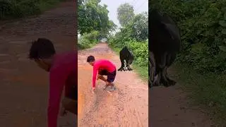 Big Dinosaur chase T-Rex attack day - 9 #trending #dinosaur #viral #vfx #youtube #shorts