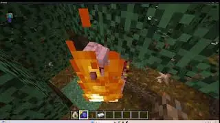 BORALO MODU