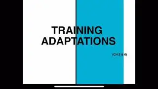 NSCA CPT Ch. 5 & 6 Overview