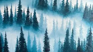 Painting a Peaceful Forest- Oil Painting Tutorial