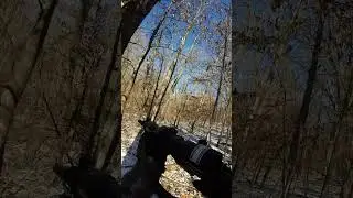 Iowa deer drive!!!!!!