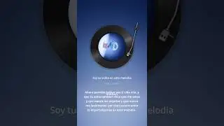 Vida mia