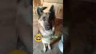 उधार देकर तो देखो 🤓 