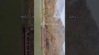 #nature #reels #youtube #shorts #ooty #instagram #viral #viralvideo #viralshorts #video