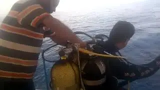 Corail rouge pêche hhhhhhhh