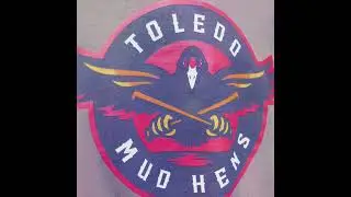Mud Hens Real Bird Collection