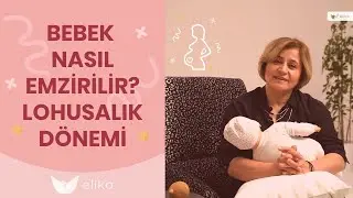 Bebek Nasıl Emzirilir? - Lohusalık Dönemi - Elika Hamile