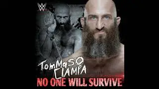 Tomasso Ciampa theme Fairy box INTRO (Extremely Favourite)