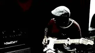 BadCat Hot Cat 30