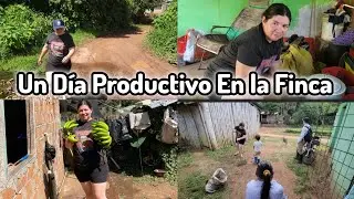 💚UN DOMINGO PRODUCTIVO EN LA FINCA 🌿✅️