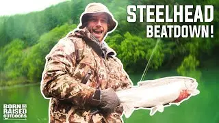 STEELHEAD BEATDOWN!!
