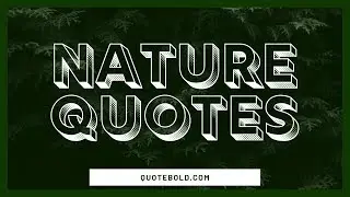 15 Quotes About Nature and Life