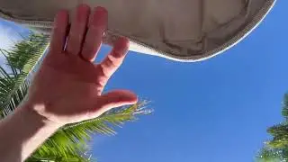 Blue Skies and Palm Trees