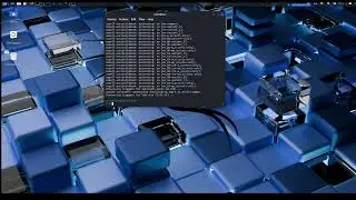 How to update and upgrade latest packages in Kali Linux ?