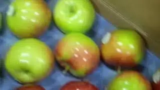 Robotic Apple Tray Loading