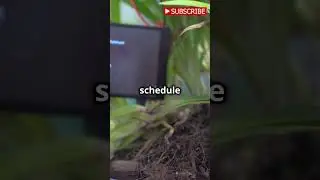 Tip 16 Monitoring Plant Health