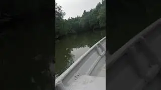 Pemilihan pokok untuk reba siakap di rakit pancing harun kongkong 0137622871 vol 2