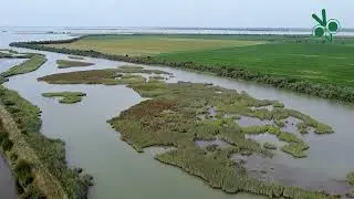 Laguna di Marano - Marano Lagunare