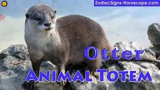 Otter Animal Totem - Otter Spirit Animal Meaning, Symbolism, Dream of the Otter Totem
