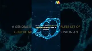 Genome: A Biological Instruction Manual For Living Organisms