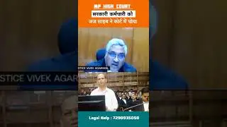 Government employee in mp court angry Judge. #court #shorts #law #lawyer